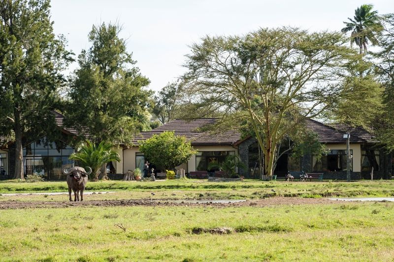 Sweetwaters Serena Camp ナニュキ エクステリア 写真
